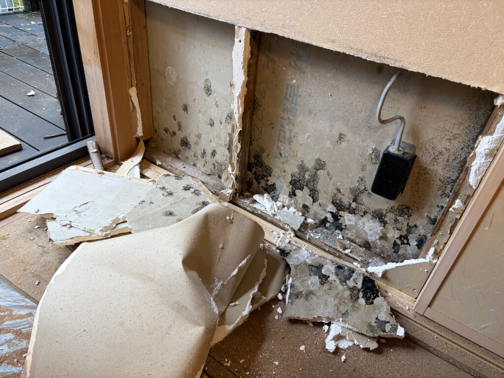 湿気と水分の影響を受けた壁内部の石膏ボード
