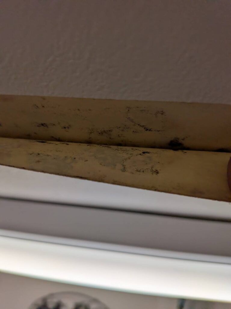 クロスを剥がして石膏ボードの状態を確認している壁